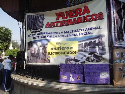 ManifestaciÃ³n "no mÃ¡s antirrabico en Texcoco" 6 de Mayo de 2012

