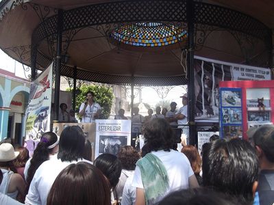 ManifestaciÃ³n "no mÃ¡s antirrabico en Texcoco" 6 de Mayo de 2012
