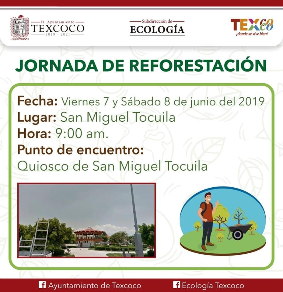 reforestacion 7 jun